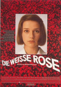 Die weisse Rose