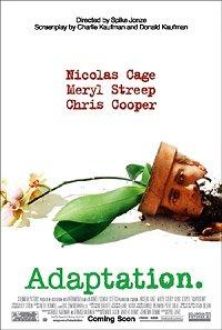 Adaption