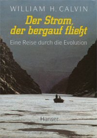 Der Strom, der bergauf flie&szlig;t